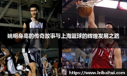 XK星空官网